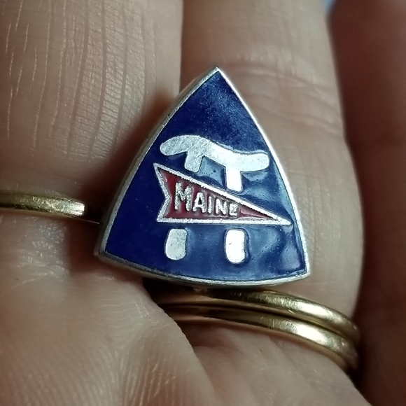 Vintage NEA Maine lapel pin red, white, and blue enamel silver tone - Picture 4 of 10